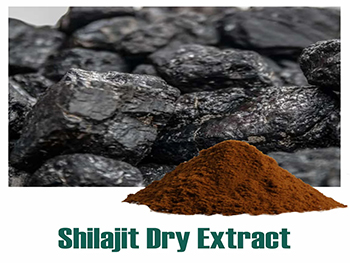 What Is Shilajit Extract Good For?